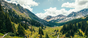 Valley surrounded by mountains and trees with a clear blue sky.