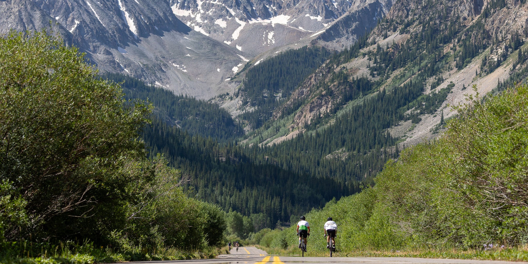 Cycle and Savor